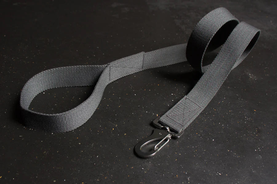Leads