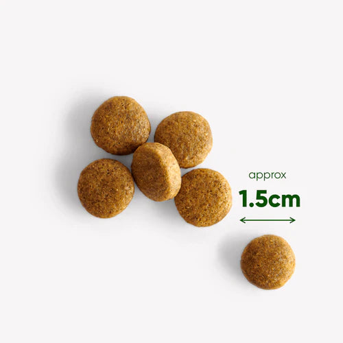 Beco_Dry-Food_Boar_kibble_close-up-min_500x_png.webp
