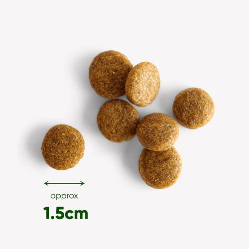 Beco_Dry-Food_chicken_kibble_close-up-min_500x_png.webp