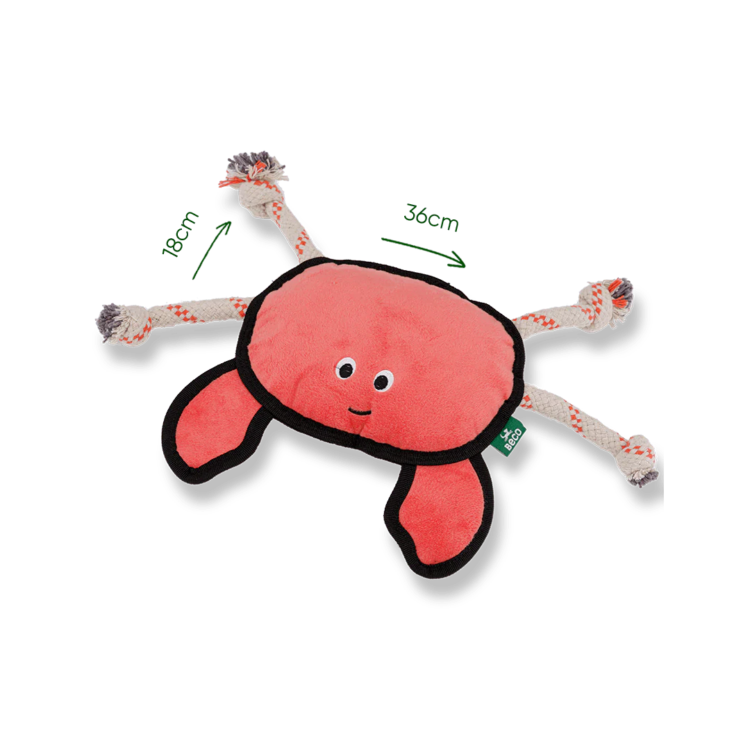 CRAB_DIMS-786282_1080x_c458bf3e-b2e9-4490-b072-48ada21abd5c.webp