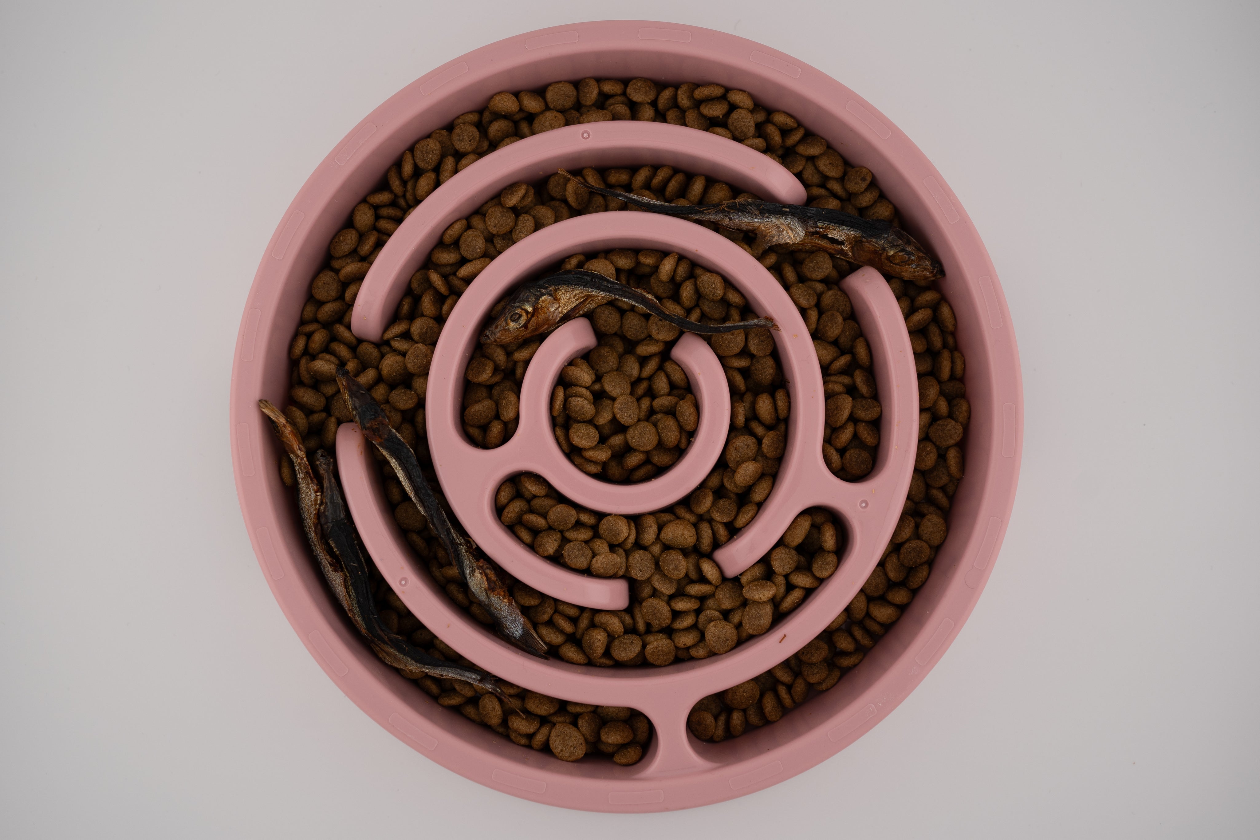 Enrichment Feeder Bowl