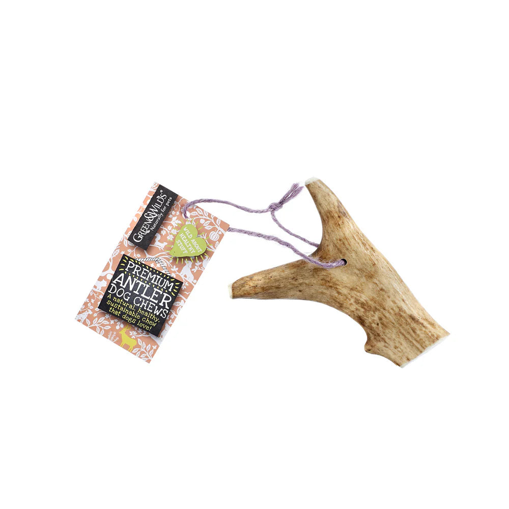 Green & Wild's | Fallow Antler