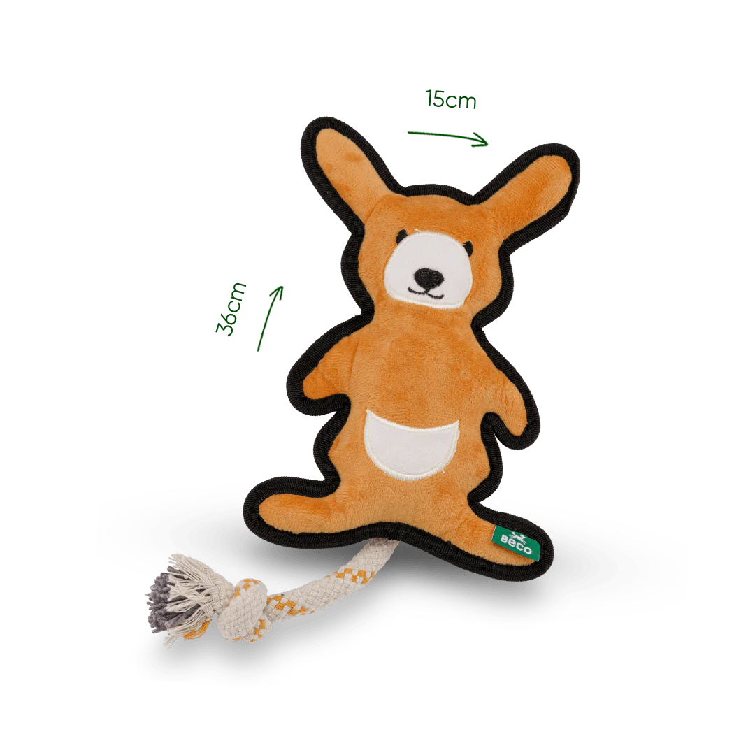 KANGAROO_DIMS-229214_1080x_f9edc259-7d55-45db-b7ce-416a6dab0c6c.webp