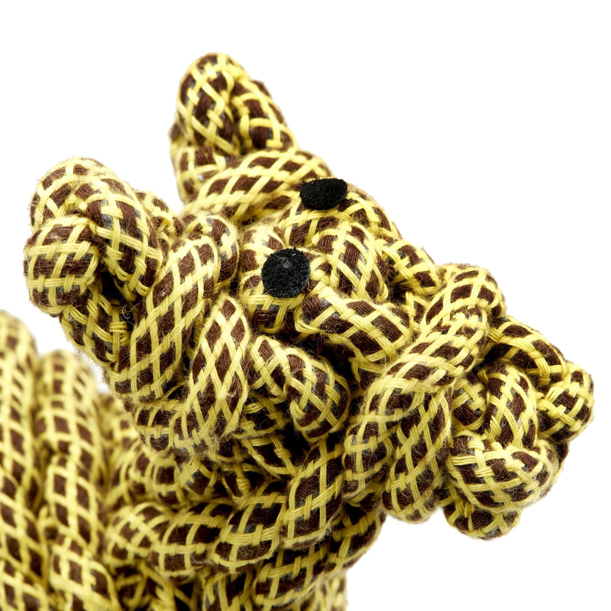 Lionel-the-Llama-Close-Up-Head-Shot.webp