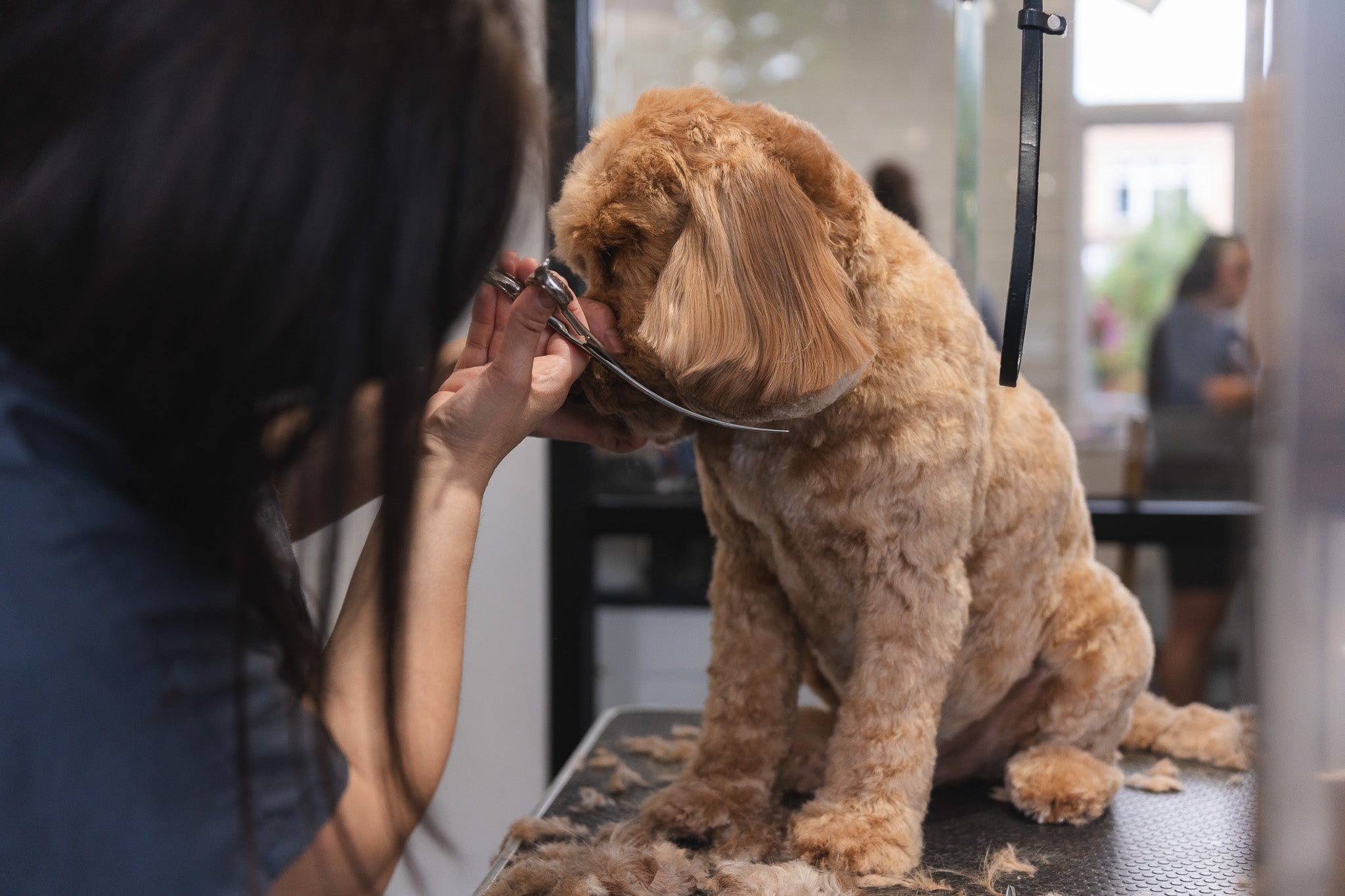 Muddy_Paws_6.6.24-7.jpg