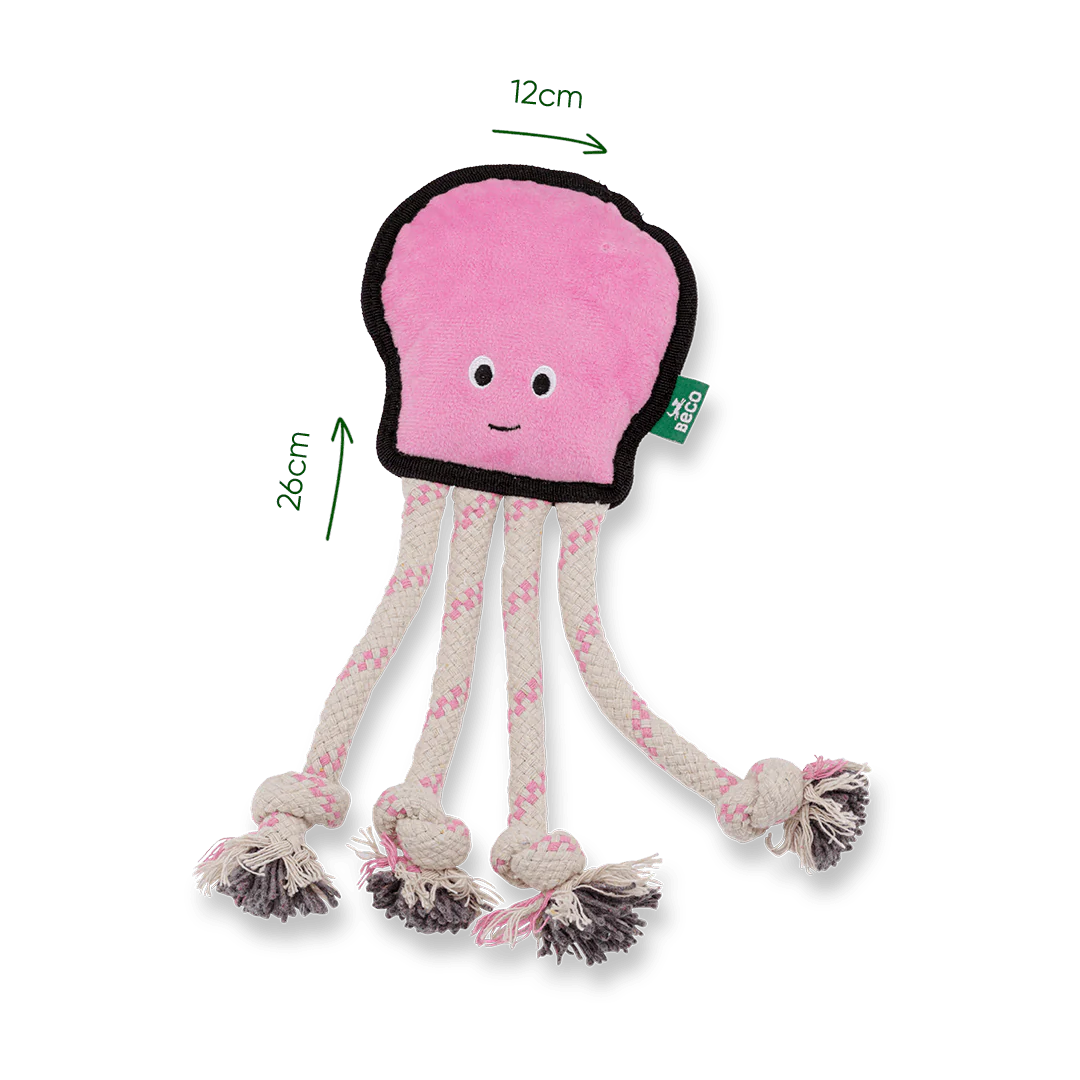 OCTOPUS_DIMS-399582_1080x_491e2516-3a12-4247-b1de-27c77a72ed30.webp