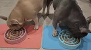 Enrichment Feeder Bowl