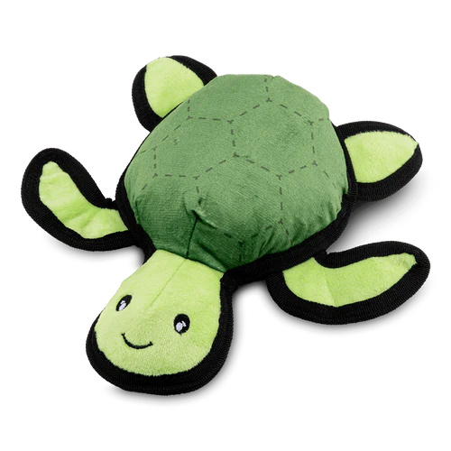tommyturtle.webp